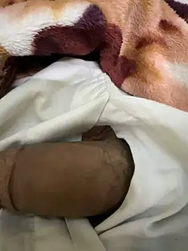 Snapshot of hamed-697 chatting on December 9, 11:24 pm hamed-697 online show from December 9, 11:24 pm