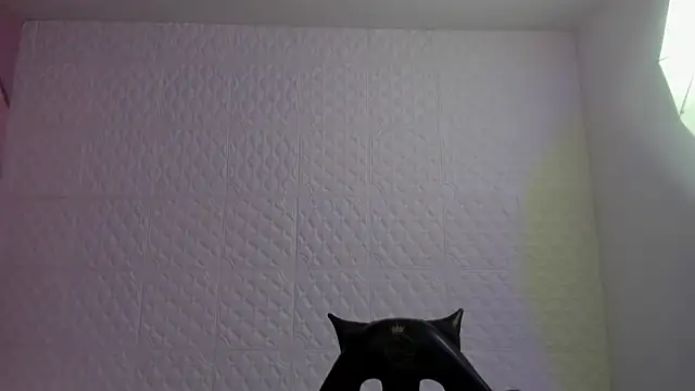 Snapshot of Violetaa_diazz chatting on May 4, 9:33 pm Violetaa diazz online show from May 4, 9:33 pm