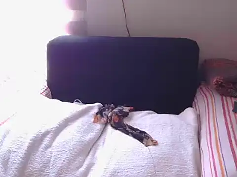 Mollybrookexx online show from December 11, 8:04 am