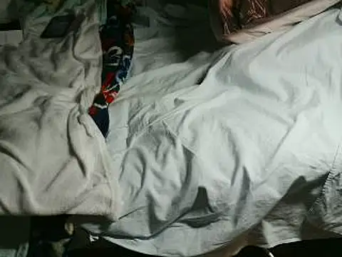 VeneRed online show from April 15, 6:26 pm