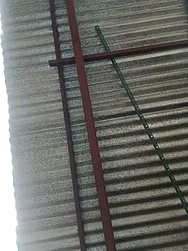 Snapshot of elputoflaco chatting on January 9, 11:46 am elputoflaco online show from January 9, 11:46 am