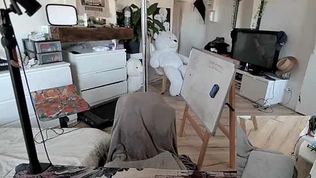 Snapshot of CeriseLapine chatting on January 11, 11:37 am CeriseLapine online show from January 11, 11:37 am