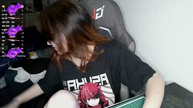 Snapshot of crashtest_13 chatting on February 2, 12:46 pm crashtest 13 online show from February 2, 12:46 pm