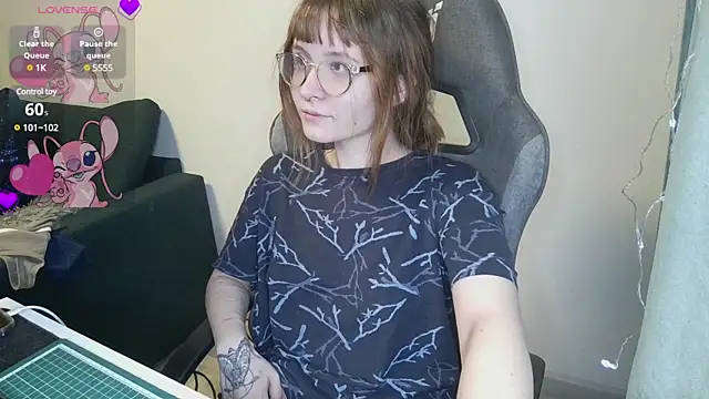 Snapshot of crashtest_13 chatting on February 20, 3:19 pm crashtest 13 online show from February 20, 3:19 pm