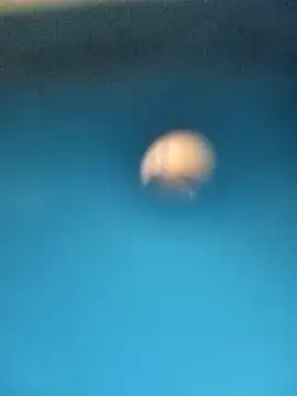 Snapshot of Sonya5156 chatting on February 15, 3:28 pm Sonya5156 online show from February 15, 3:28 pm