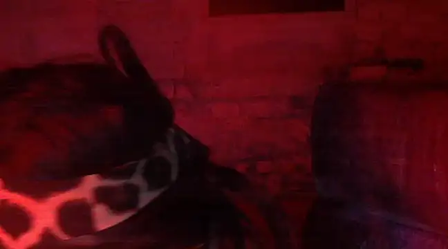 Snapshot of iva_spirit chatting on February 9, 7:52 pm iva spirit online show from February 9, 7:52 pm