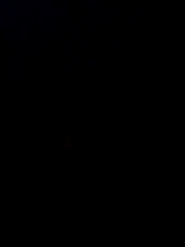 Desi SexyCoupleF online show from December 2, 4:57 pm