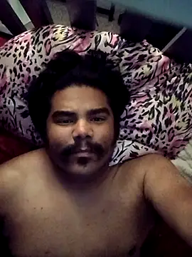 Brickstash online show from November 15, 5:49 am