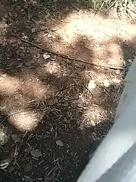 mehdi-l7away online show from April 16, 12:06 pm