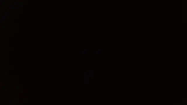 Snapshot of _______the chatting on December 14, 8:24 pm the online show from December 14, 8:24 pm