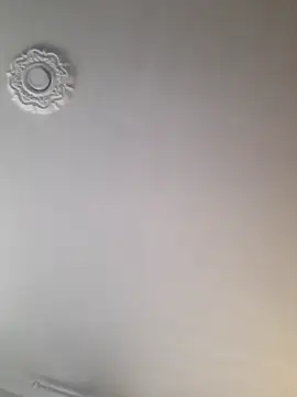 Snapshot of dragon1006 chatting on November 22, 10:20 pm dragon1006 online show from November 22, 10:20 pm