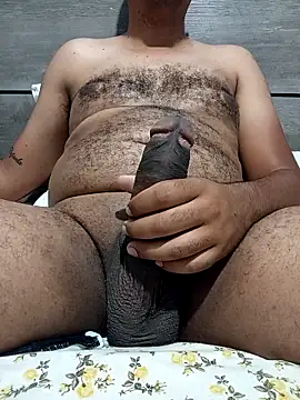 Jornaodaputaria online show from November 5, 6:08 pm