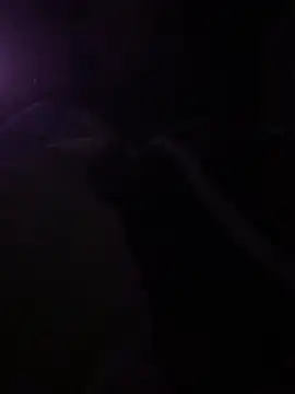 Snapshot of solomec chatting on March 6, 10:26 pm solomec online show from March 6, 10:26 pm