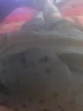 Snapshot of solomec chatting on September 25, 6:39 am solomec online show from September 25, 6:39 am