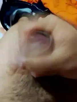 Edipaca online show from March 4, 12:55 pm