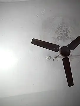 sana14 online show from December 19, 7:04 am