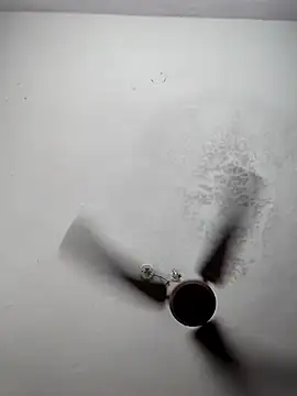 sana14 online show from March 9, 6:23 pm