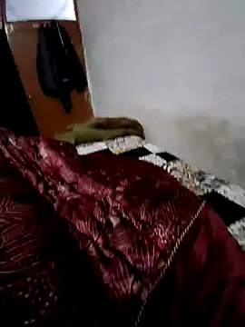 menakshiiikaur online show from December 13, 2:16 pm