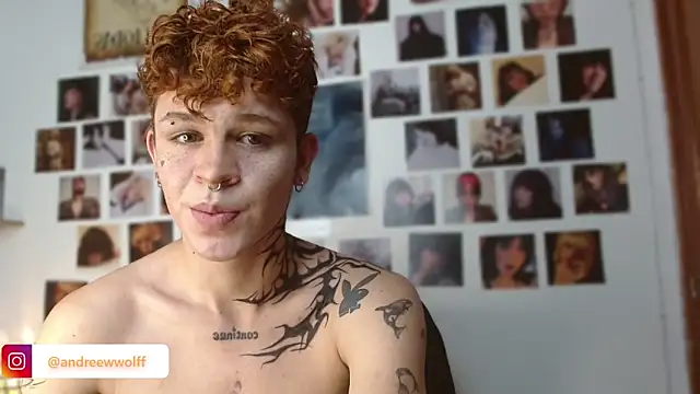 Snapshot of andrewWolffman chatting on December 15, 11:42 pm andrewWolffman online show from December 15, 11:42 pm