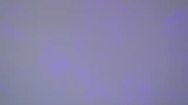 SelinSwarovski online show from November 1, 5:09 am