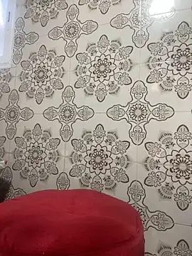 lady strips online show from January 15, 4:54 pm