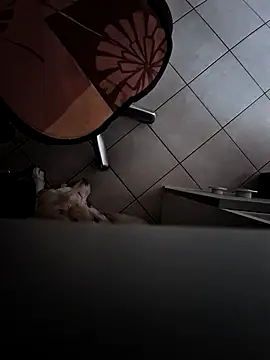 Snapshot of HardWolf2024 chatting on December 9, 2:49 pm HardWolf2024 online show from December 9, 2:49 pm