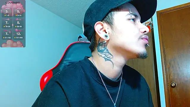 Hgp3riodictabl3 online show from February 6, 5:56 am