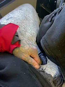 Snapshot of Fuckboy4public chatting on December 29, 4:08 pm Fuckboy4public online show from December 29, 4:08 pm