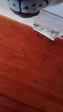 Snapshot of Darly_Gomez chatting on December 31, 4:46 pm Darly Gomez online show from December 31, 4:46 pm