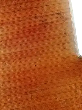 Snapshot of Darly_Gomez chatting on March 1, 4:00 pm Darly Gomez online show from March 1, 4:00 pm