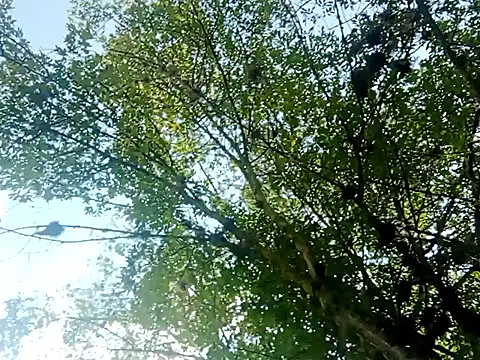 Snapshot of Darly_Gomez chatting on March 15, 3:27 pm Darly Gomez online show from March 15, 3:27 pm