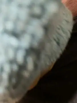 edgher646 online show from February 27, 11:21 am