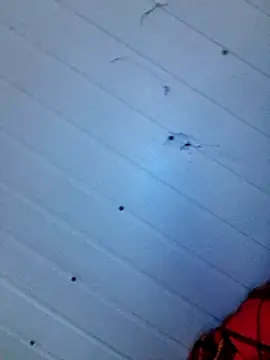 frotasso online show from December 12, 4:15 am