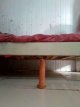 frotasso online show from January 7, 6:21 pm