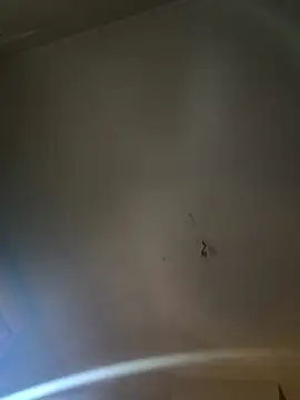 Snapshot of Jiimy2fois chatting on March 6, 9:39 am Jiimy2fois online show from March 6, 9:39 am