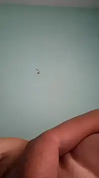 alexjs84 online show from December 16, 11:12 am