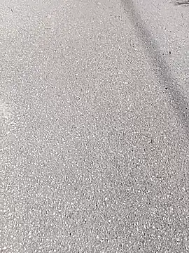 Eleni Pappa online show from March 11, 10:21 am