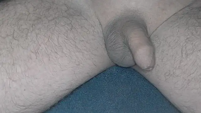 Snapshot of cs1512 chatting on February 26, 4:36 am cs1512 online show from February 26, 4:36 am