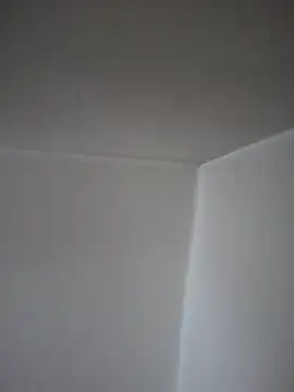 Snapshot of SecretlyDD chatting on April 23, 9:19 am SecretlyDD online show from April 23, 9:19 am