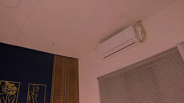  dakota a online show from January 21, 12:46 am