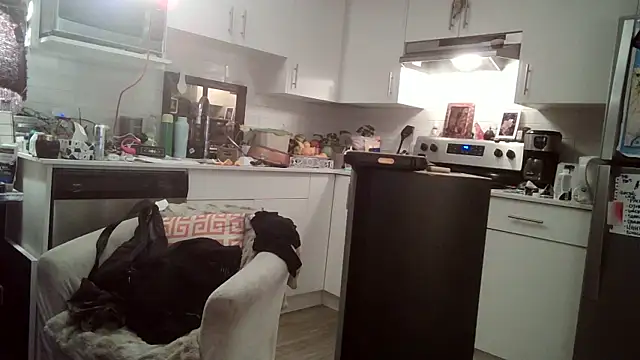 Snapshot of SilverandFox chatting on March 11, 11:44 am SilverandFox online show from March 11, 11:44 am