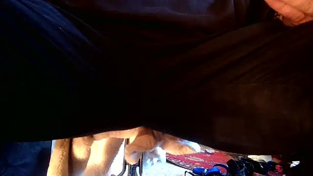 Snapshot of SilverandFox chatting on September 10, 5:46 pm SilverandFox online show from September 10, 5:46 pm