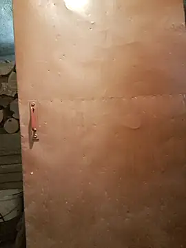 Snapshot of koudelka2322 chatting on February 28, 9:10 am koudelka2322 online show from February 28, 9:10 am