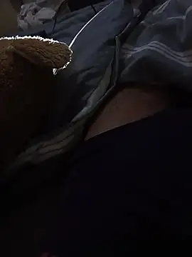 Snapshot of TheRiseOfDick chatting on April 8, 1:16 am TheRiseOfDick online show from April 8, 1:16 am