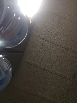 zaneporter46 online show from February 16, 5:36 am