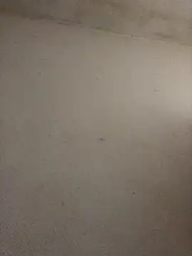 Snapshot of BELLAMORGANE1 chatting on November 2, 9:22 am BELLAMORGANE1 online show from November 2, 9:22 am