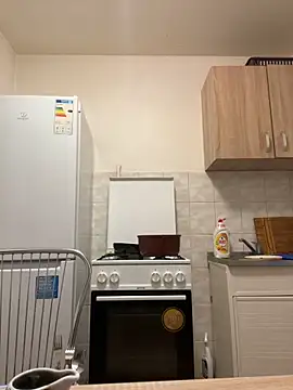 Snapshot of TheTopSecret chatting on January 13, 8:15 pm TheTopSecret online show from January 13, 8:15 pm