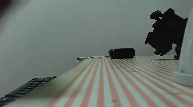 Snapshot of Abony_femboy chatting on February 5, 3:55 am Abony femboy online show from February 5, 3:55 am