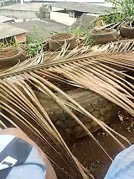 safado0027 online show from October 15, 6:41 pm