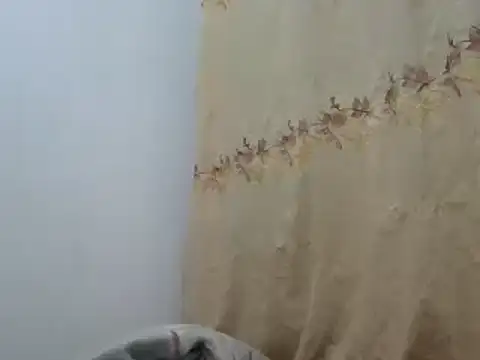 Sr JakoXXXX online show from February 20, 7:55 am